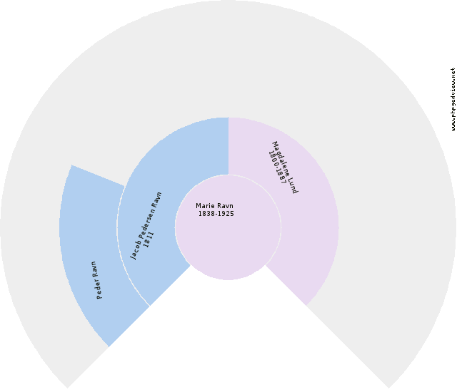 Anna Schmidt Circle Diagram